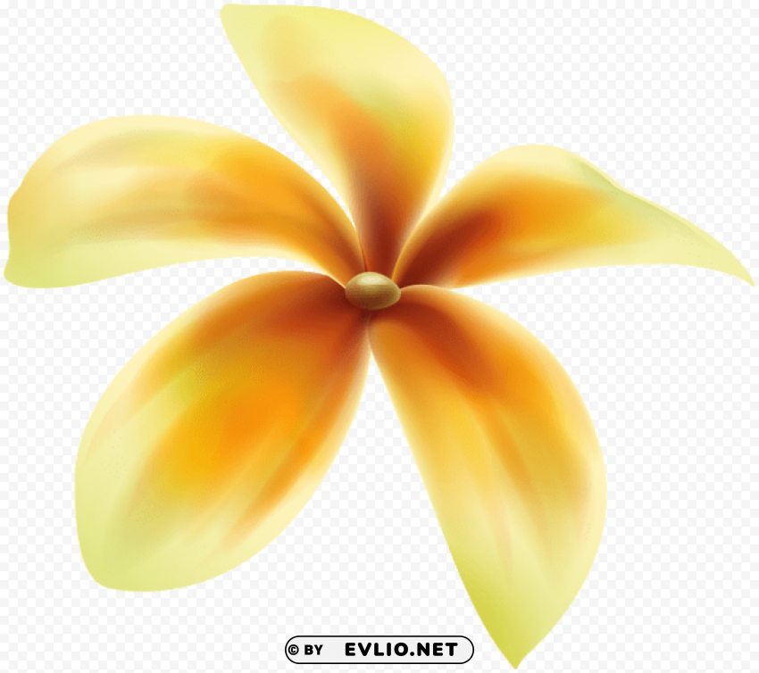 yellow flower deco PNG images no background