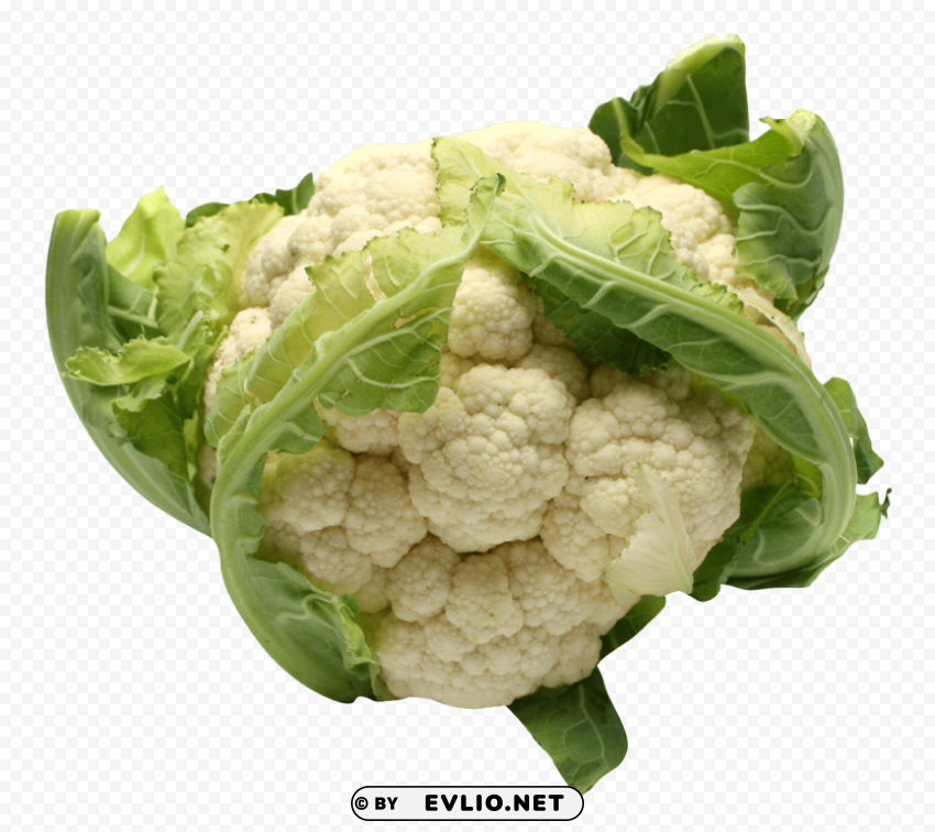 cauliflower PNG images with no background free download