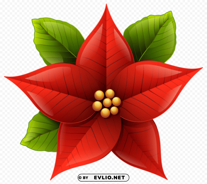 christmas poinsettia clip-art PNG with transparent background free