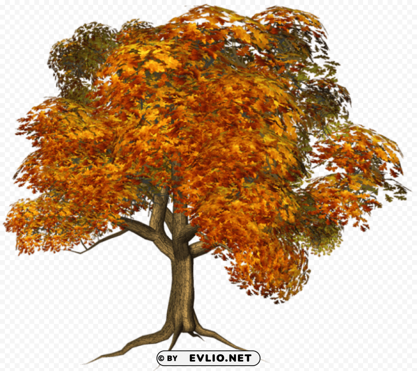 large fall tree PNG images with transparent elements