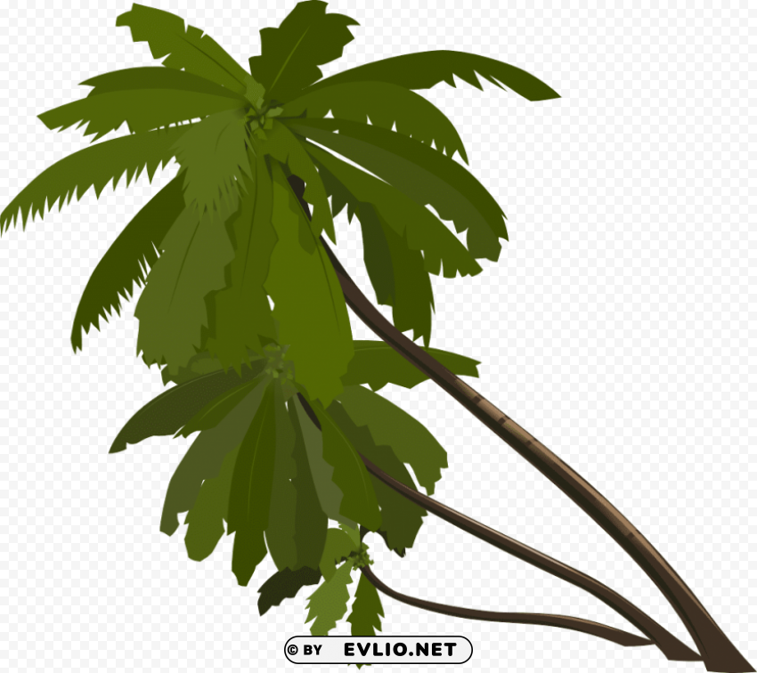 palm tree Transparent PNG Isolation of Item clipart png photo - 910043ab