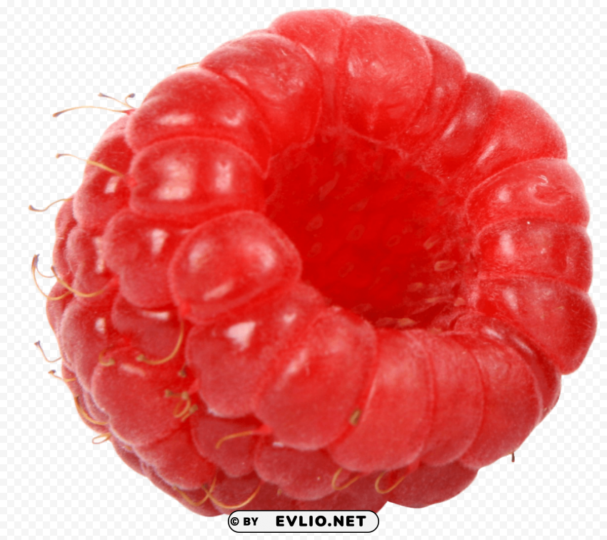 raspberry PNG with no background diverse variety