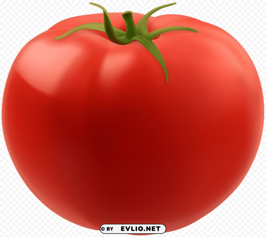 tomato PNG files with no background assortment