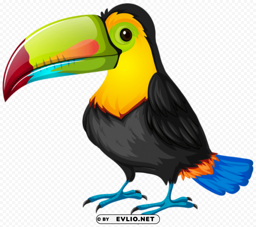 toucan cartoon Isolated Item with Transparent Background PNG