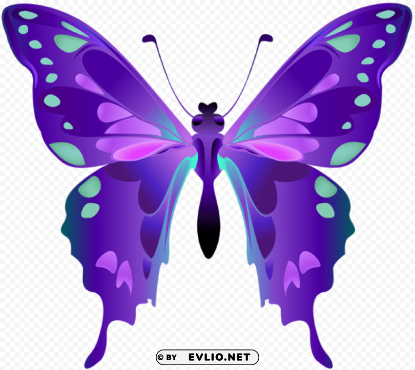 decorative butterfly purple HighResolution Isolated PNG with Transparency clipart png photo - c1ac7eac