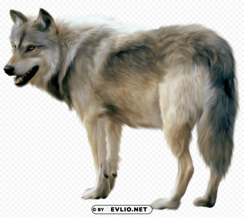 painted wolf Isolated Item with Transparent PNG Background