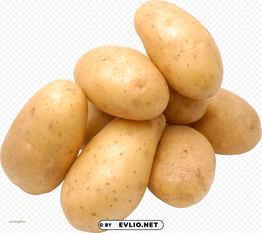 potato Transparent Background PNG Isolated Design