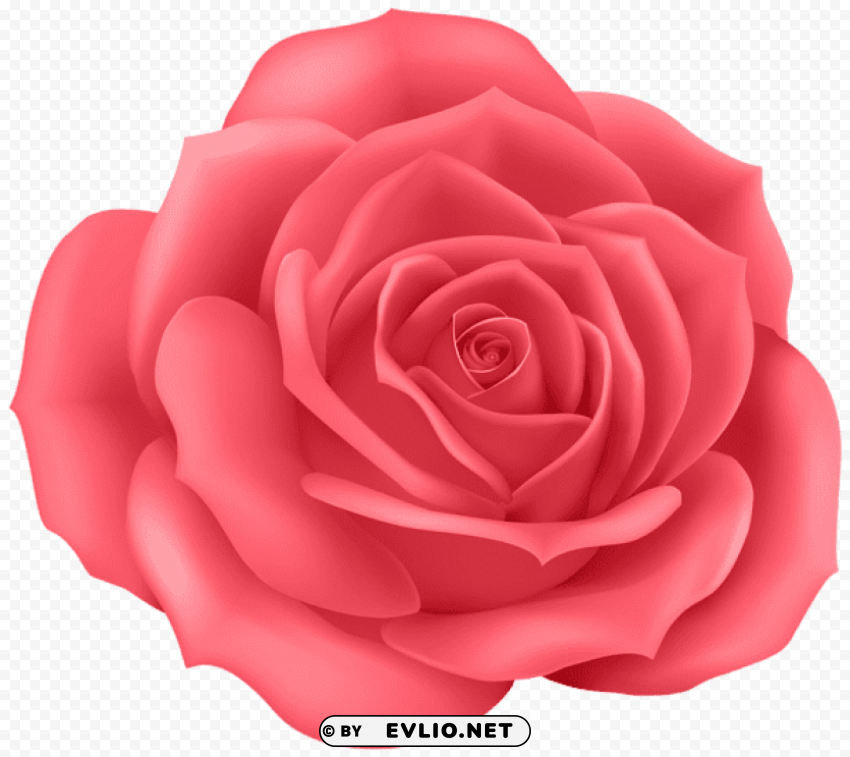 rose Transparent Background Isolated PNG Icon