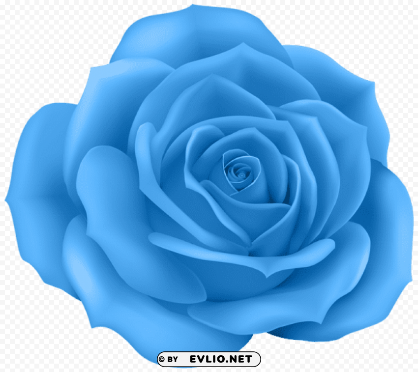 PNG image of rose blue Transparent Background PNG Isolated Item with a clear background - Image ID 0681850e