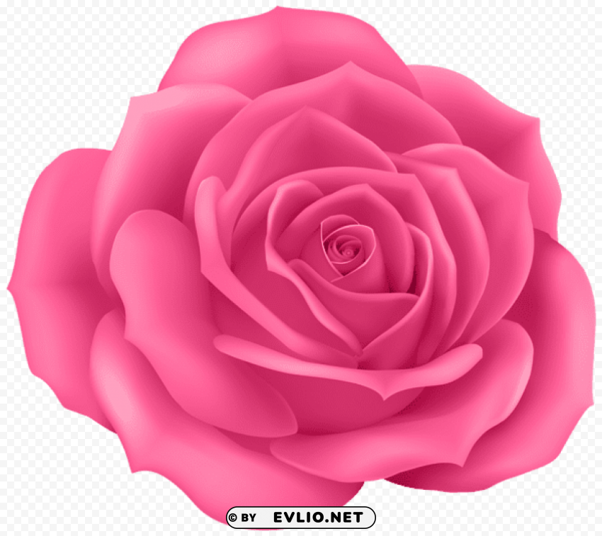 PNG image of rose pink Transparent background PNG gallery with a clear background - Image ID 174ae27c