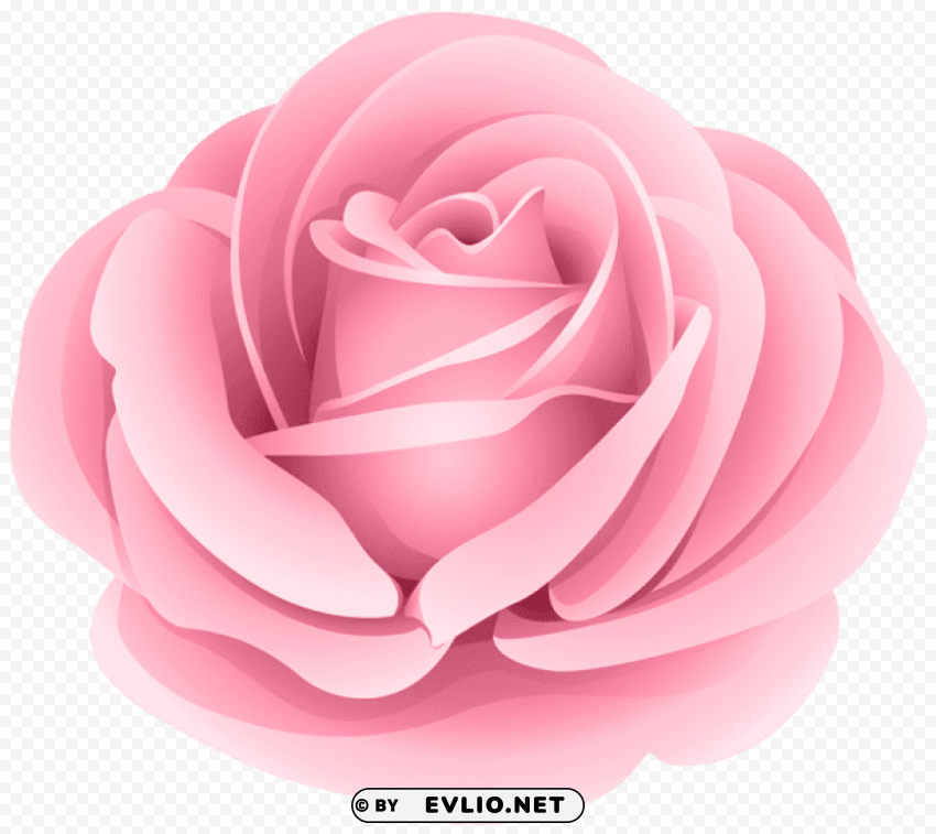 rose purple Free PNG images with transparent layers compilation