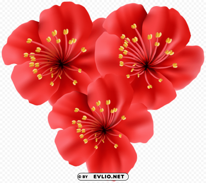 Tropical Flowers Heart PNG Images With High Transparency