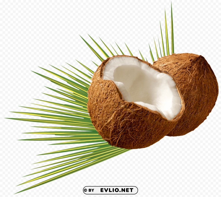 coconut Isolated Element with Clear PNG Background