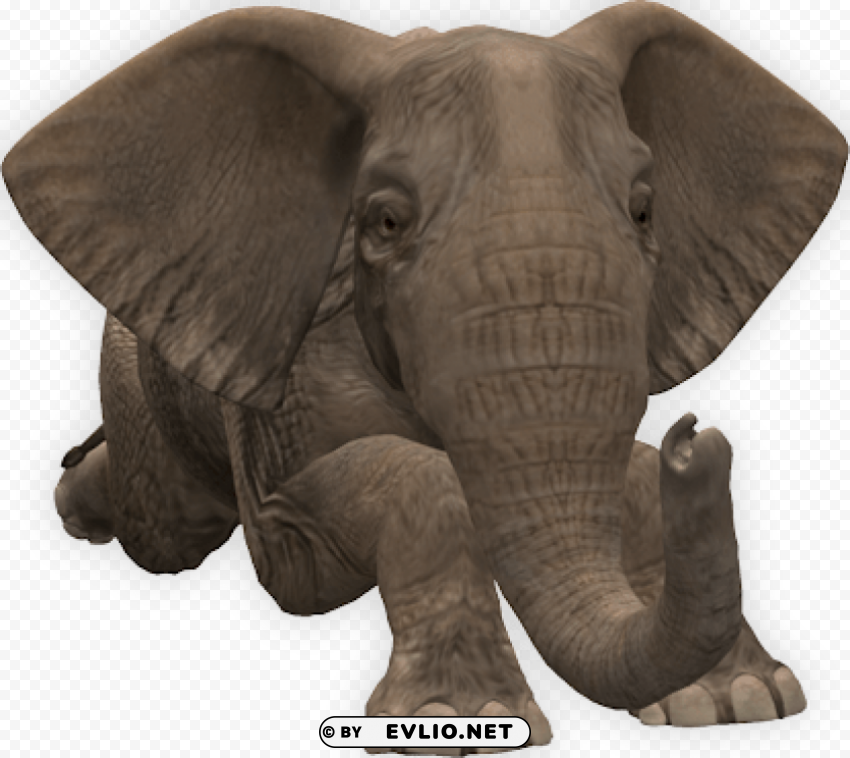 elephant PNG objects png images background - Image ID 5392609e