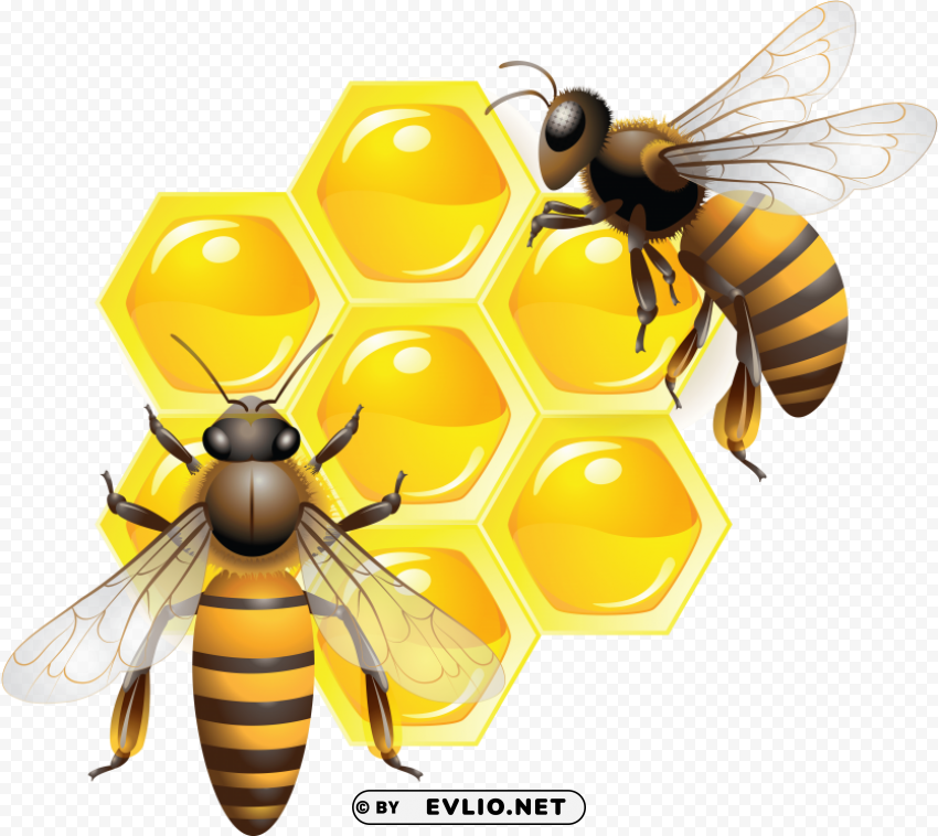 honey PNG design clipart png photo - 6d878ee4