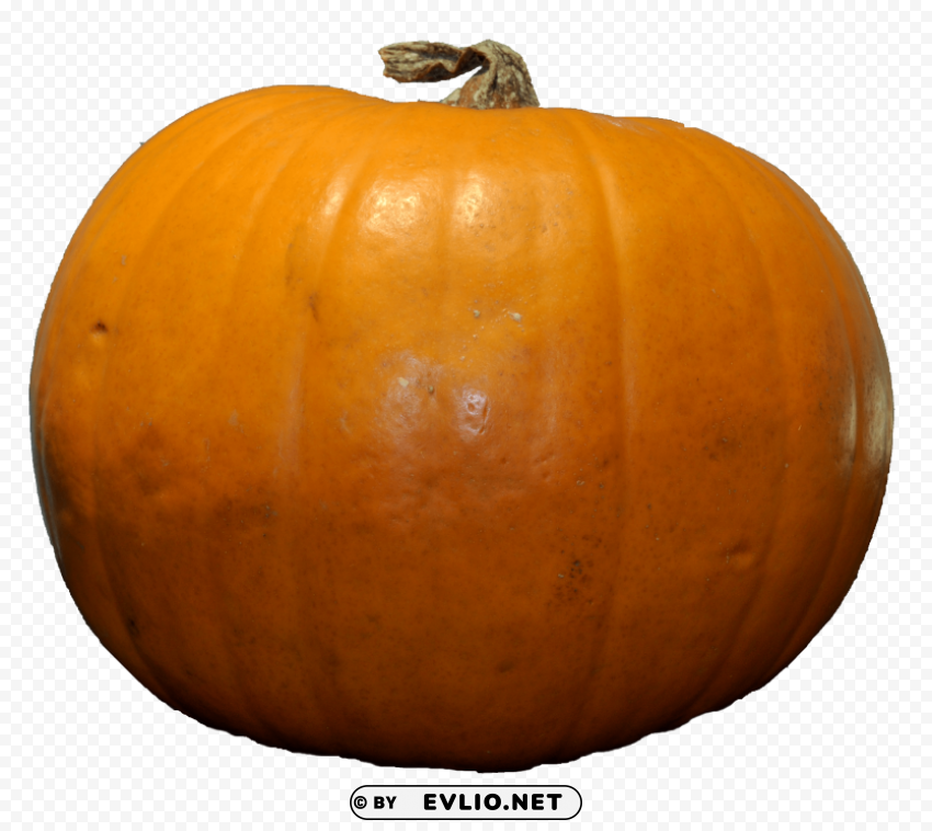 Pumpkin PNG With Isolated Object And Transparency