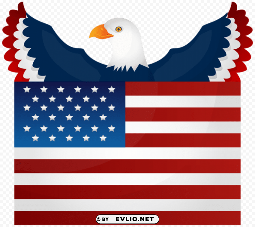 american flag and eagle Clear pics PNG