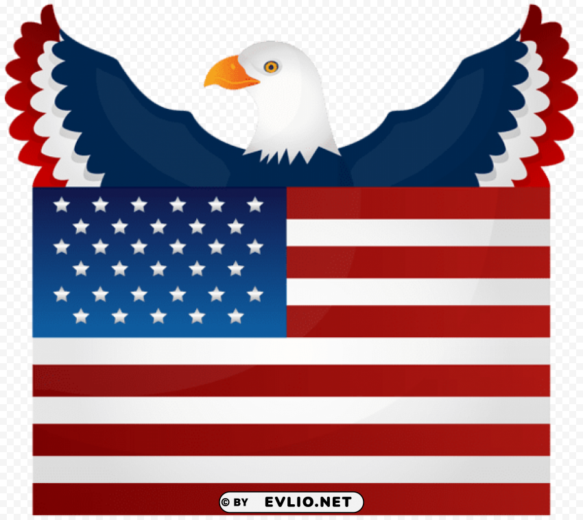 American Flag And Eagle Clear Pics PNG