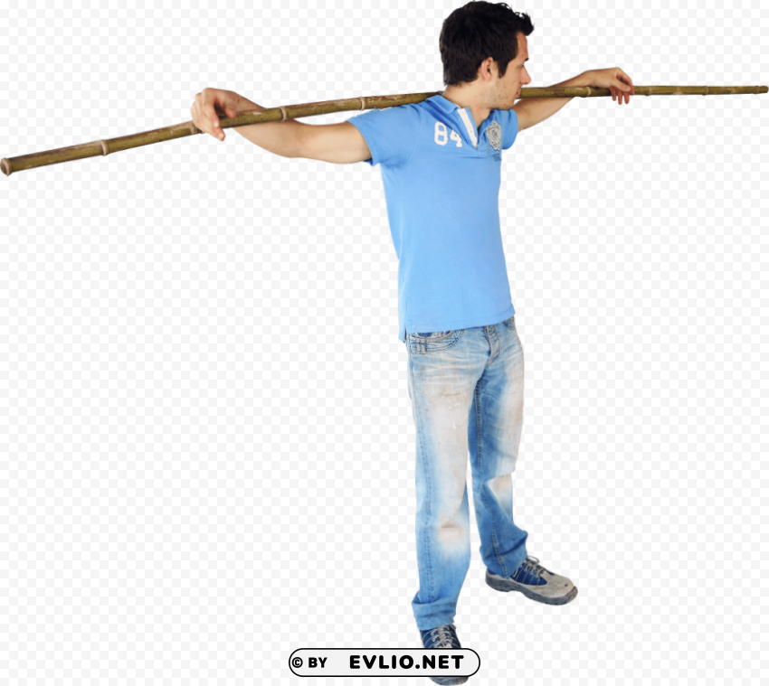 bamboo standing Transparent PNG Isolated Design Element
