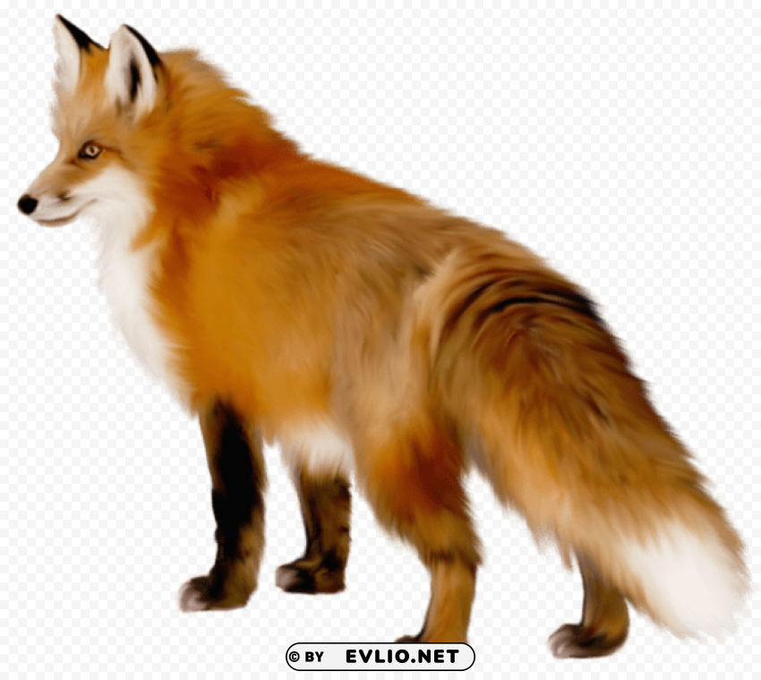 fox Isolated Artwork on Transparent Background PNG png images background - Image ID 6a3fbe8b