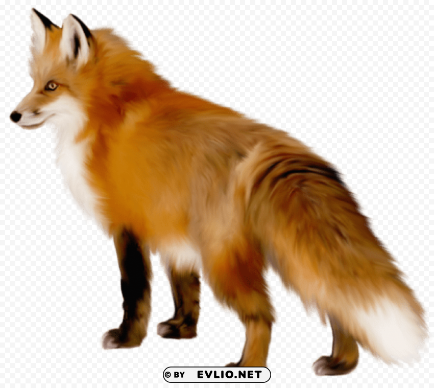 Fox Isolated Artwork On Transparent Background PNG