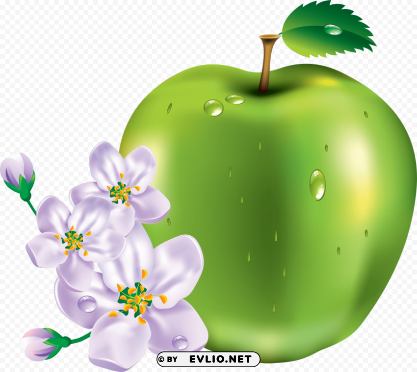 Green Apples PNG With No Bg