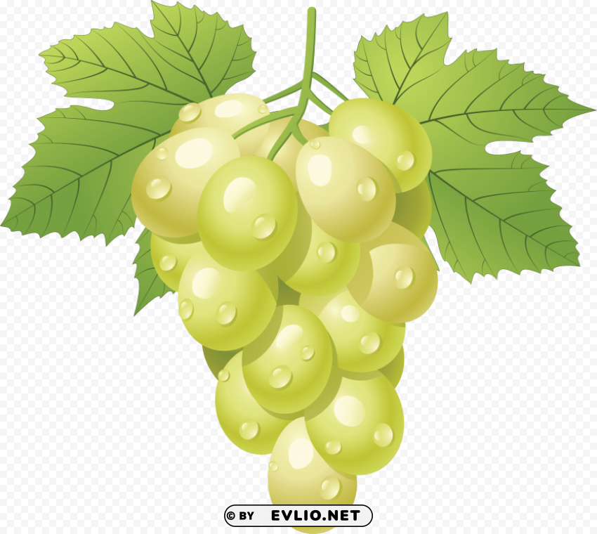 grapes Transparent PNG stock photos