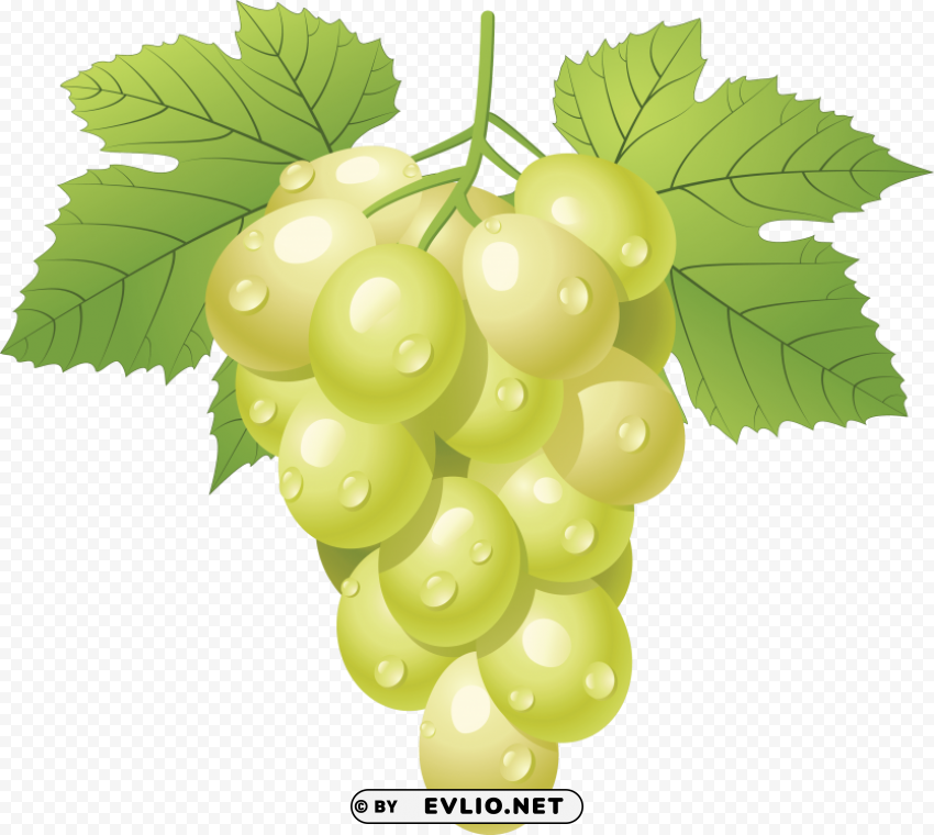 green grapes PNG no background free
