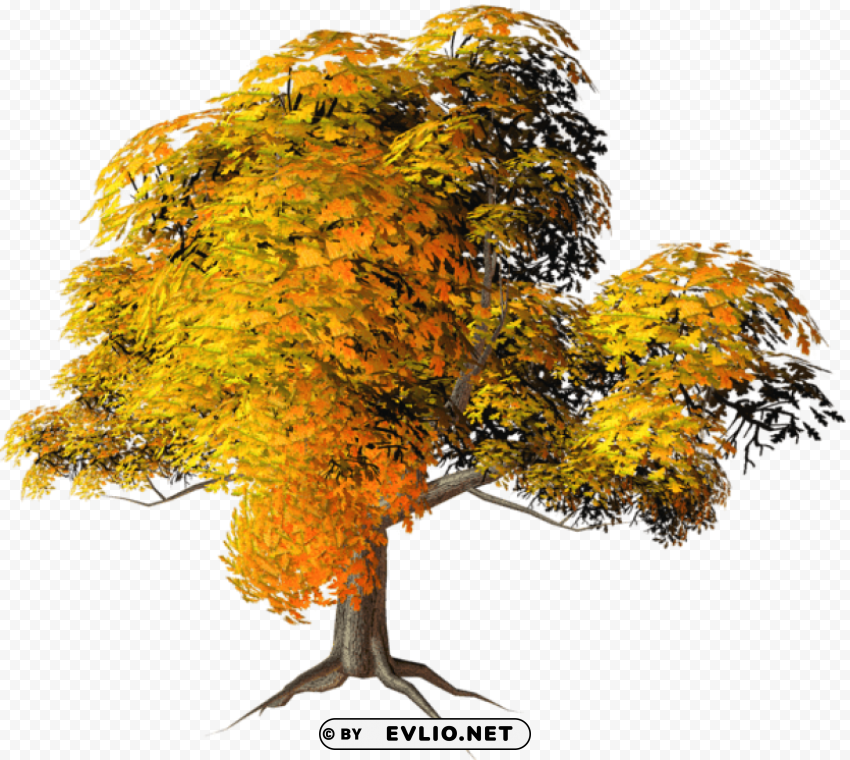 large yellow fall tree PNG images with transparent backdrop