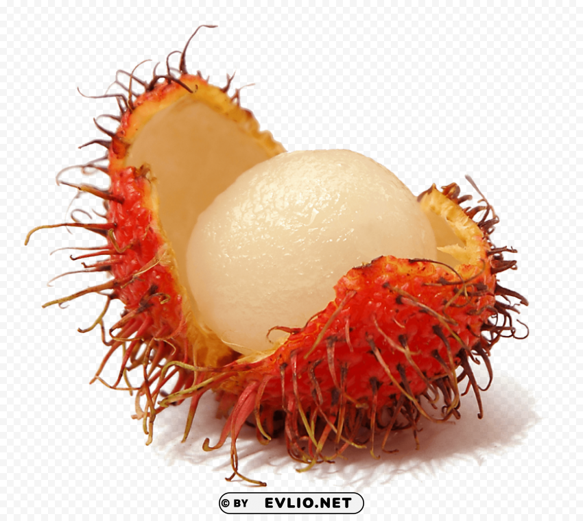 Rambutan Isolated PNG Graphic With Transparency