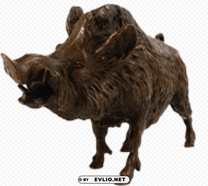 boar Isolated Design on Clear Transparent PNG