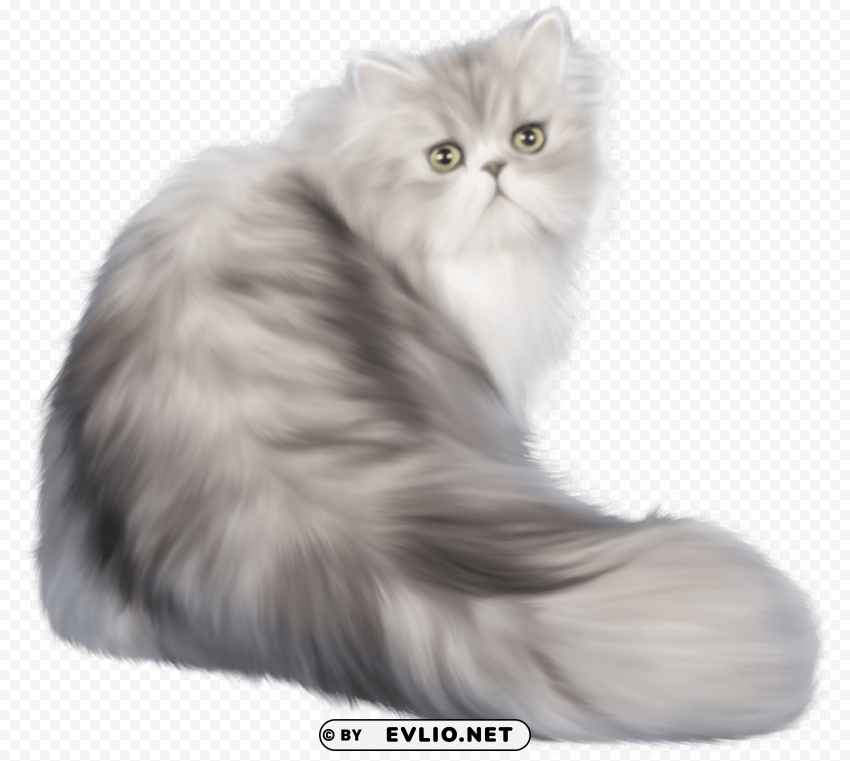 Cat PNG Graphics For Presentations