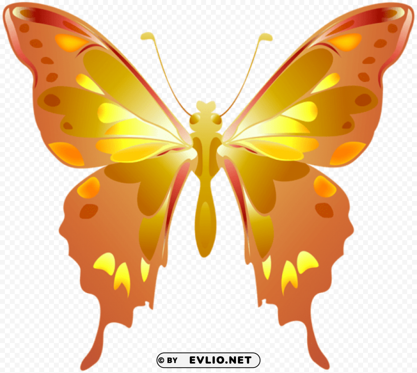 decorative butterfly orange HighResolution Transparent PNG Isolation clipart png photo - d3ba5f2e