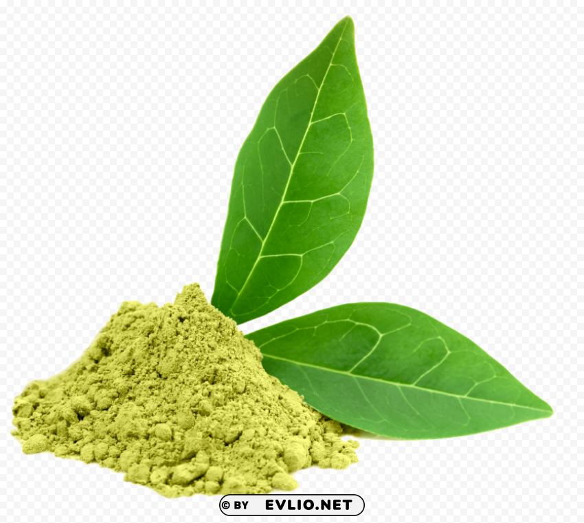 green tea PNG Image with Isolated Graphic Element