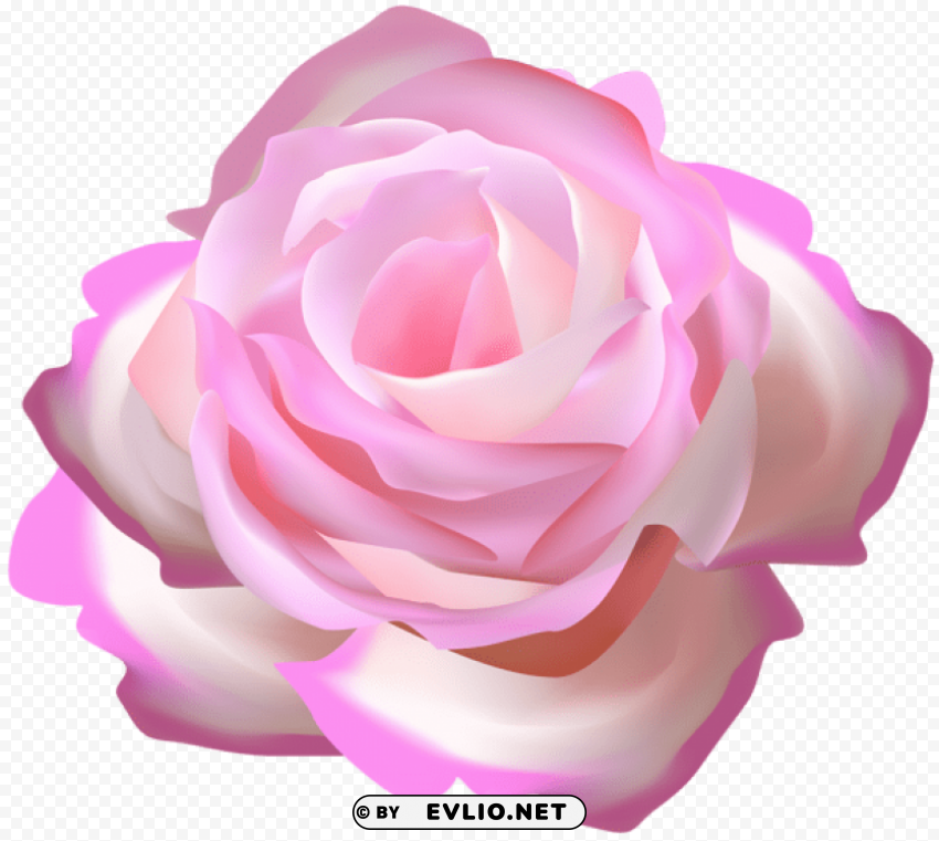 pink rose decorative Alpha channel transparent PNG