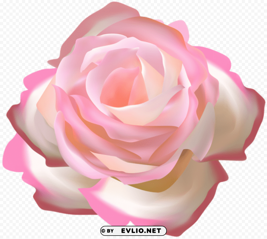 rose decorative Transparent PNG pictures for editing