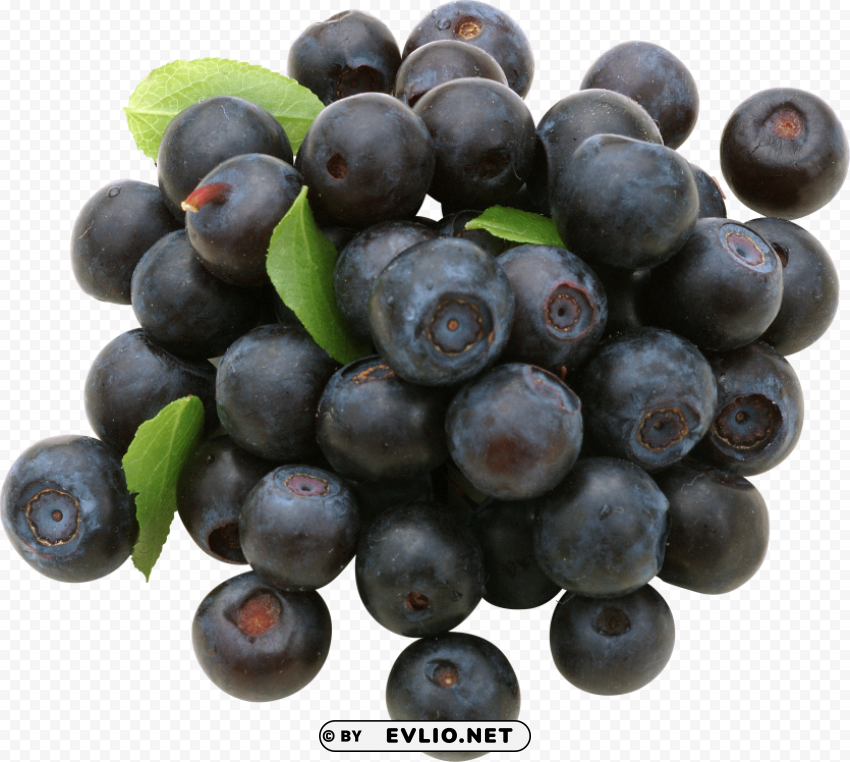 blueberries ClearCut Background PNG Isolated Item