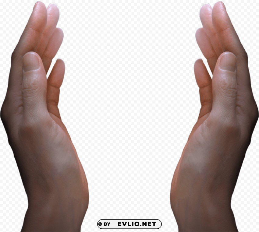 hands Transparent Background PNG Isolated Character