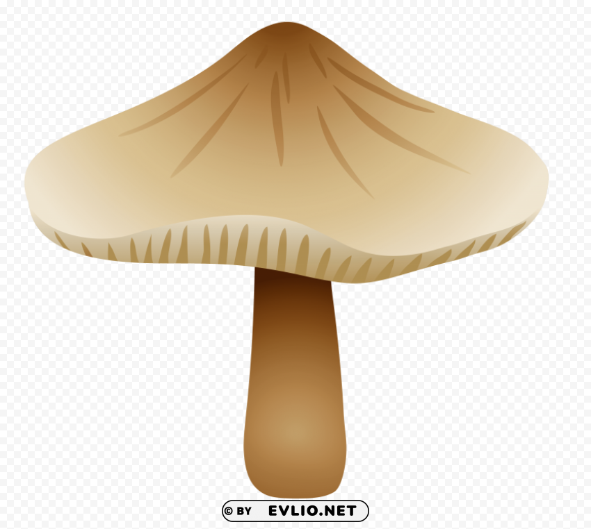 mushroom xerula radicata Transparent PNG images for printing clipart png photo - eda4b635