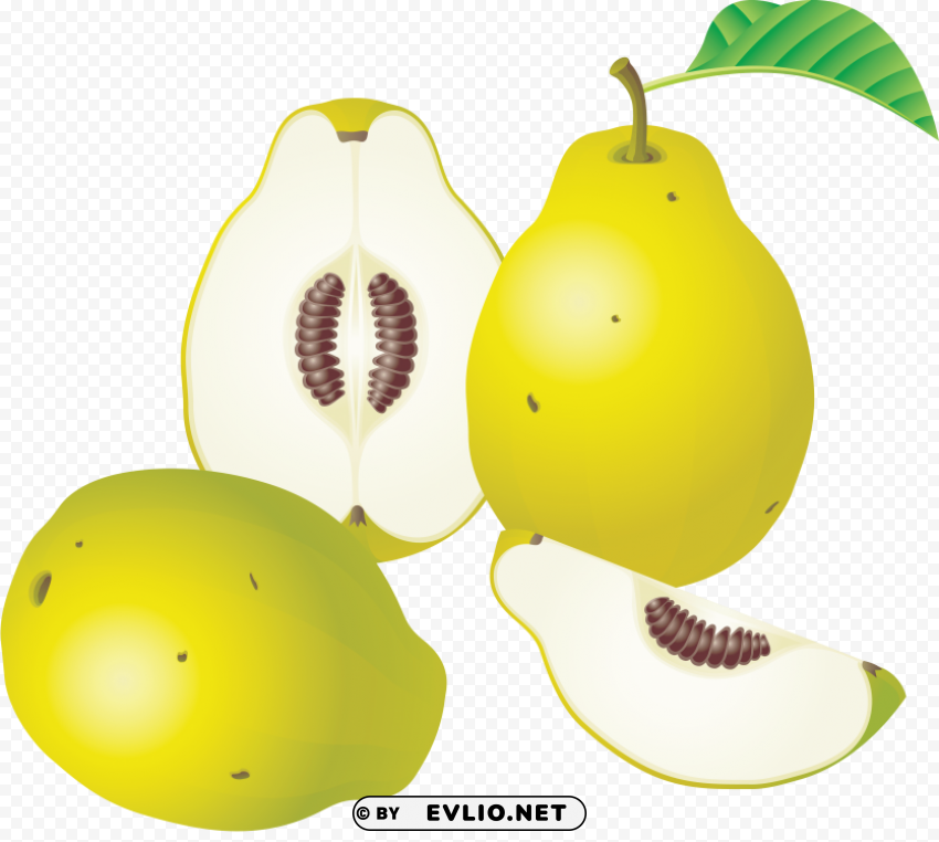 Pear HighResolution Isolated PNG Image