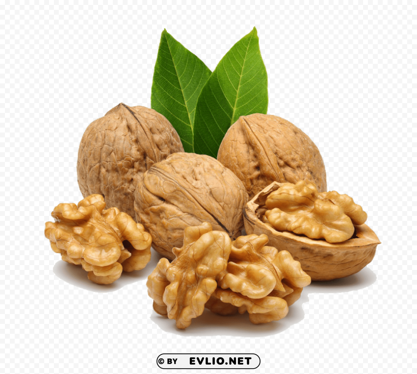 walnut Isolated Subject in Transparent PNG