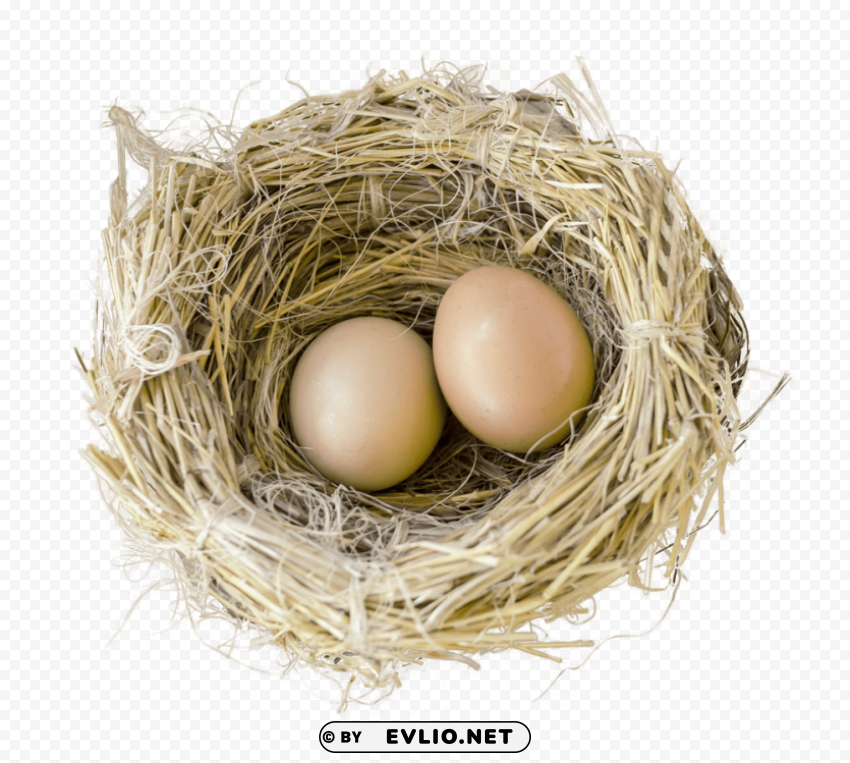 bird nest Clean Background Isolated PNG Icon