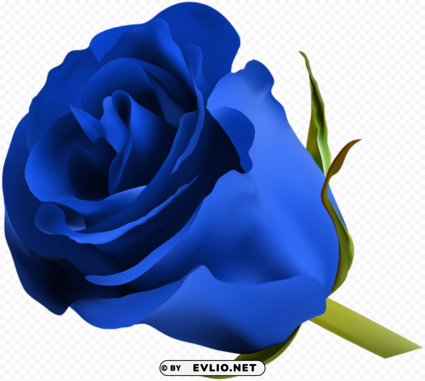 PNG image of blue rose Transparent graphics PNG with a clear background - Image ID cc015f56