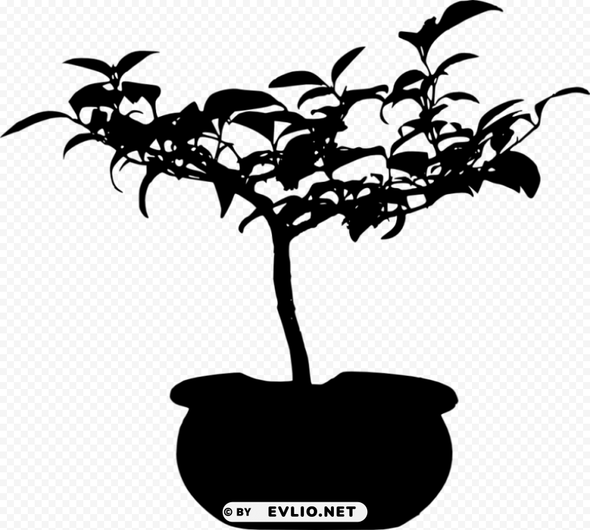 bonsai silhouette PNG graphics for presentations