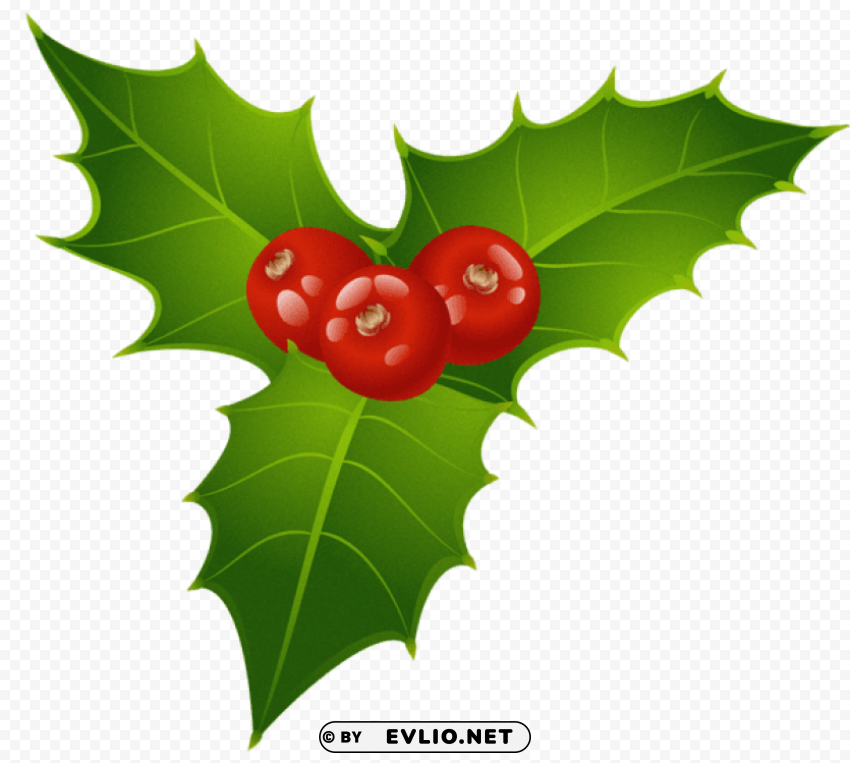 christmas mistletoe Transparent PNG Illustration with Isolation