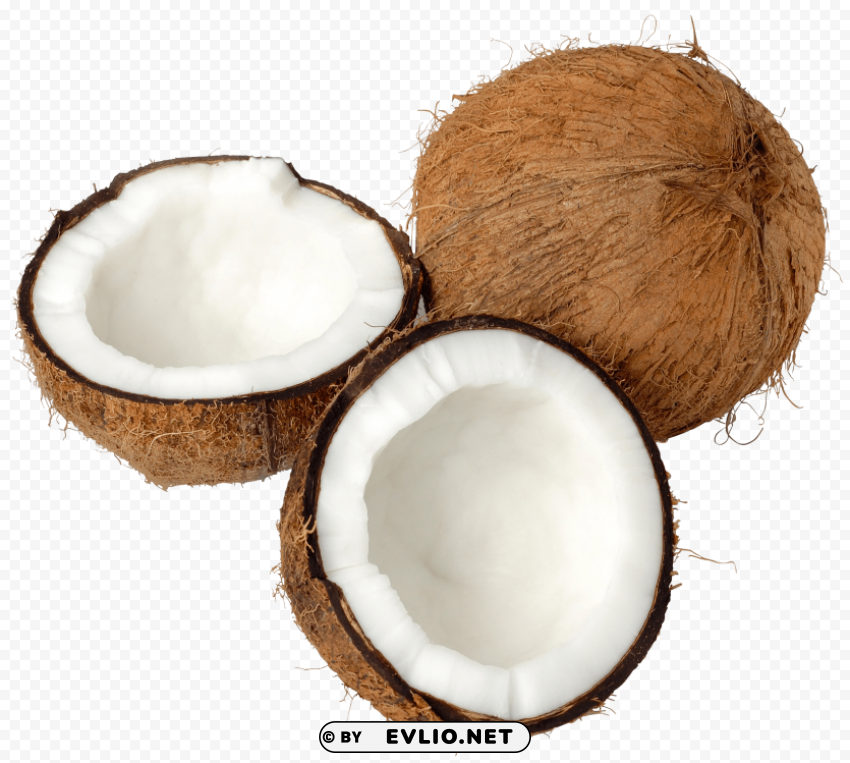 coconuts Isolated Illustration on Transparent PNG