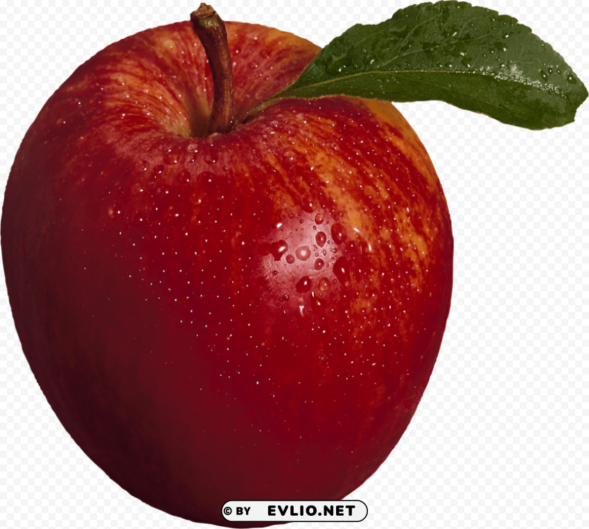 Red Apple Isolated Graphic Element In Transparent PNG