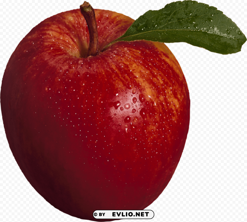 Red Apple Alpha Channel Transparent PNG