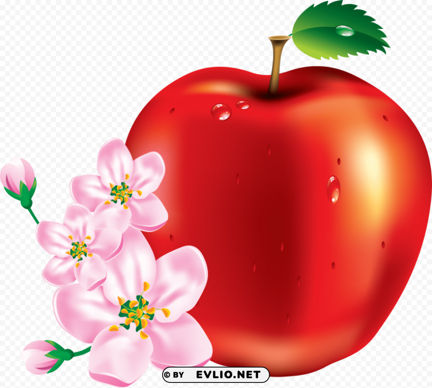 red apple Transparent Background PNG Isolated Character clipart png photo - 49b355ae