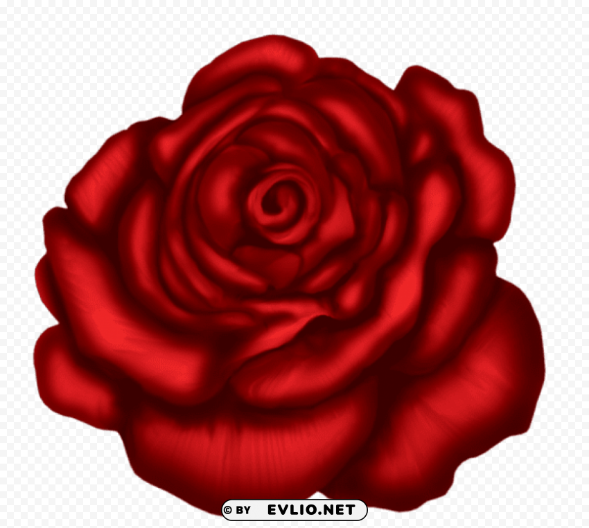 red rose art picture Isolated Artwork in HighResolution Transparent PNG